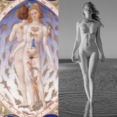 Gebroeders Van Lymborch, Astrologische Mens (TRH) & Micky Hoogendijk, The Meetings of the Waters I (detail)